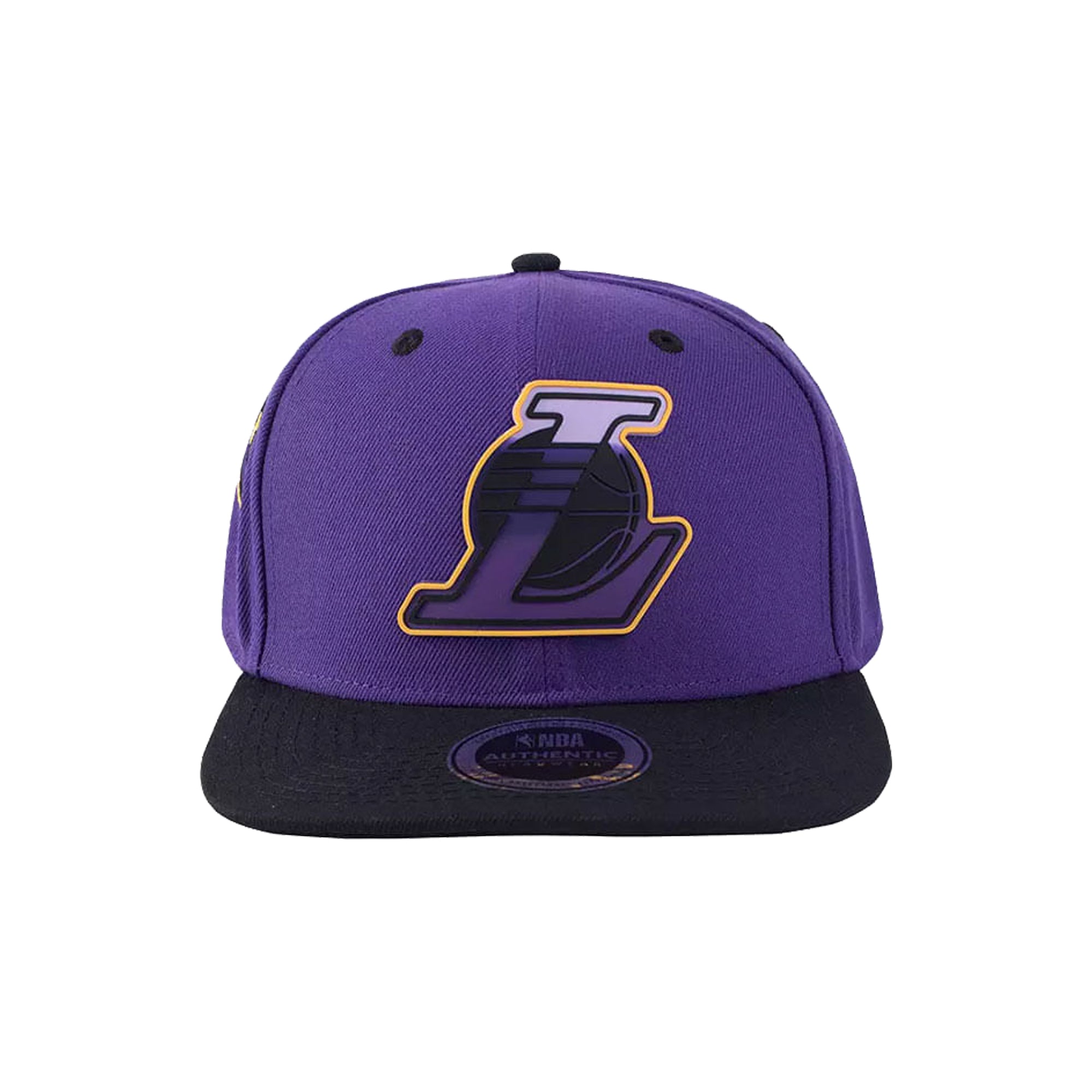 NBACA525102-PR1 - NBA PATCH LOGO FLXFIT FLAT CAP